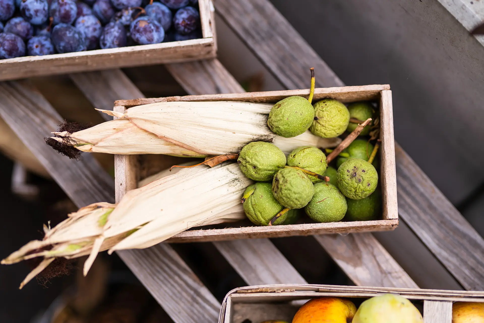 Werbefotografie - Kampagnenbild von Bornvisions